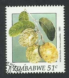 1991 ZIMBABWE WILD FRUITS