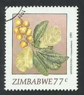 1991 ZIMBABWE WILD FRUITS