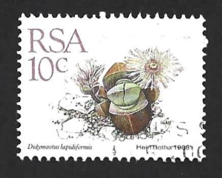 1988 SOUTH AFRICA SUCCULENTS