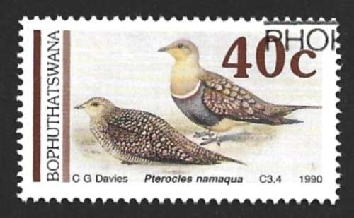 1990 BOPHUTHATSWANA SANDGROUSE