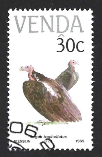 1989 VENDA BIRDS