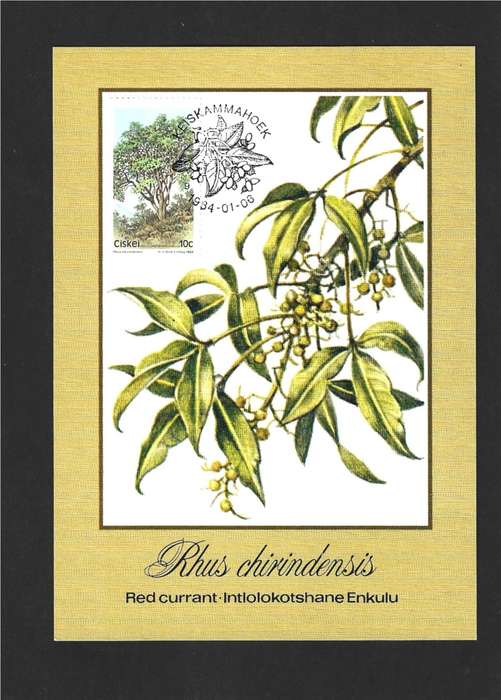 1984 CISKEI TREES