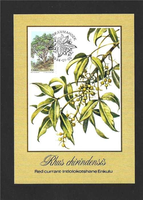 1984 CISKEI TREES