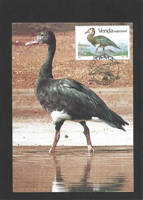 1987 VENDA WATERFOWL