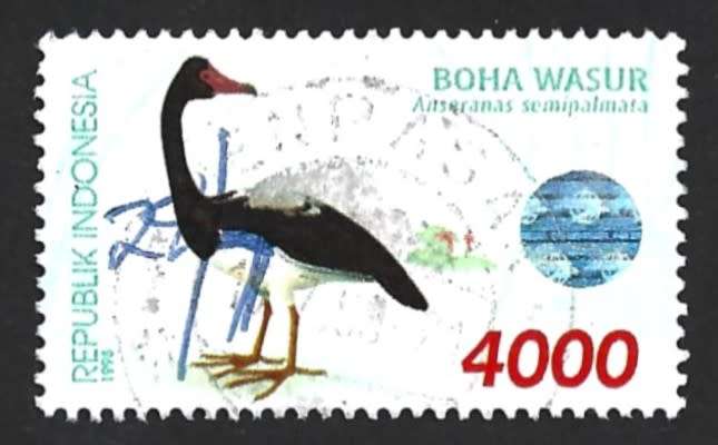 1998 INDONESIA BIRDS