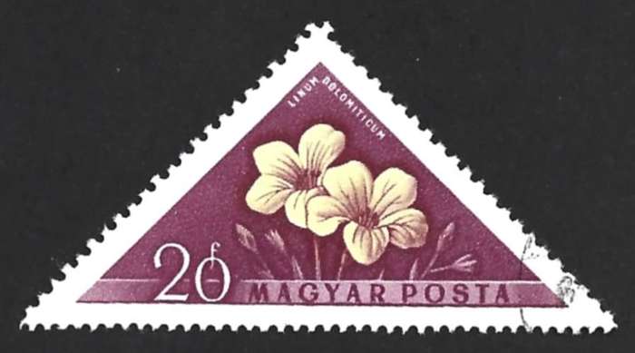 1958 HUNGARY FLOWERS