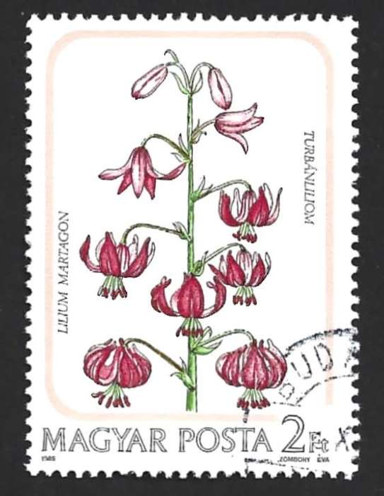 1985 HUNGARY FLOWERS