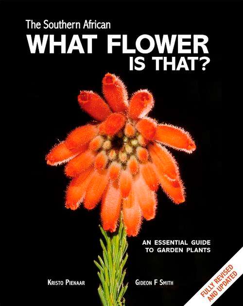 What Flower is That?