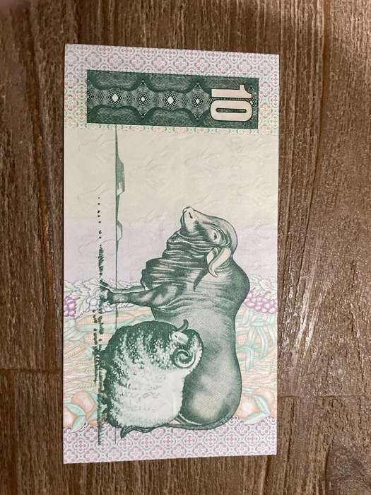 GHC de Kock *** R10 *** 1981 first issue *** seldom offered great condition