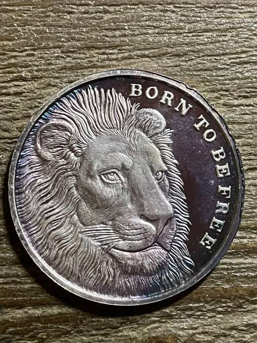 Mandela  *** Beautiful Lion *** unknown origin