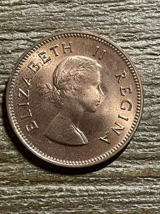 1955 *** 1/2 Penny *** Unc dealer stock