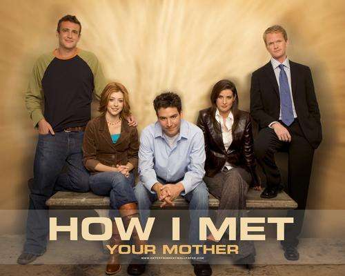 HOW I MET YOUR MOTHER - Season 5 (Completed!)  Episodes 1-24 (DVD).