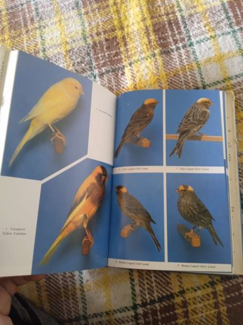 Coloured, type & song canaries. A complete guide. By G.B. R. Walker & Dennis Avon