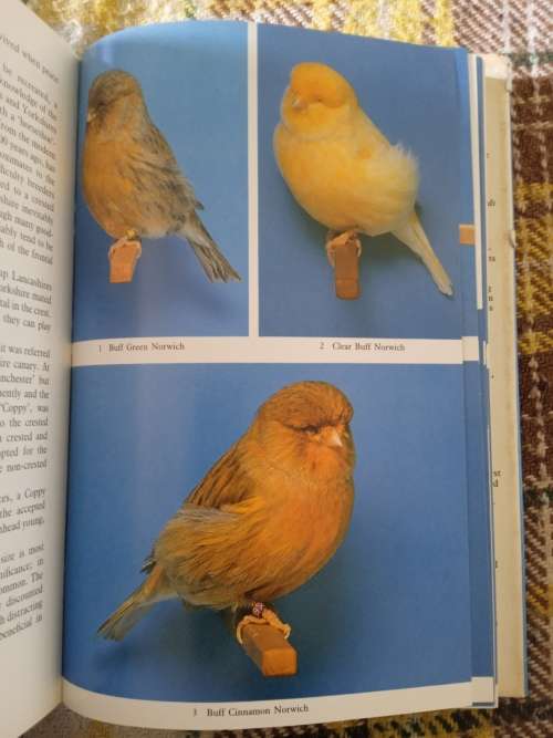 Coloured, type & song canaries. A complete guide. By G.B. R. Walker & Dennis Avon