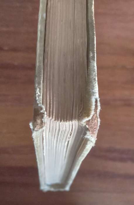 Mijn Commando en Guirilla-Leven (First Edition) by DS van Warmelo