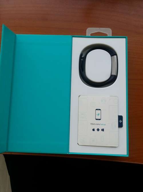 Fitbit alta small