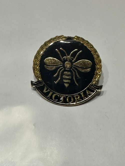 Vaal Commando Beret Badge