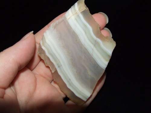 Agate slab/slice