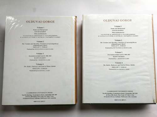 Olduvai Gorge: Volume 4, The Skulls, Endocasts, and Teeth of Homo Habilis - by Tobias, Phillip. V