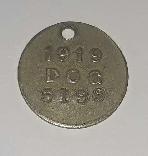 Antique 1919 City of Cape Town Dog License Tag