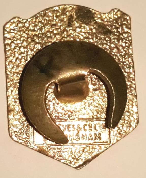 Vintage 1950s Albion Motors Button badge