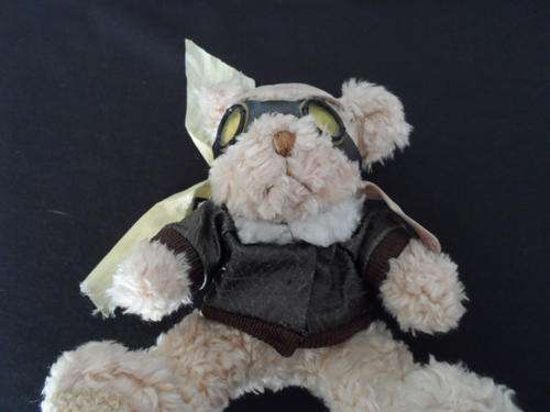 Teddy bear pilot