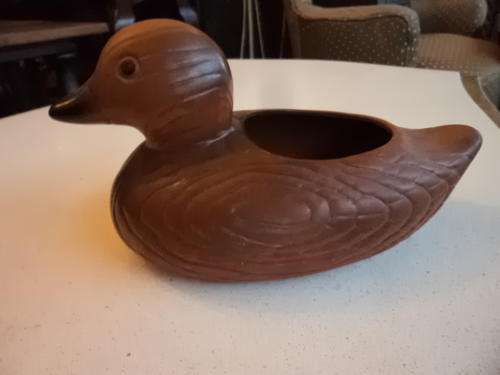 Duck Display
