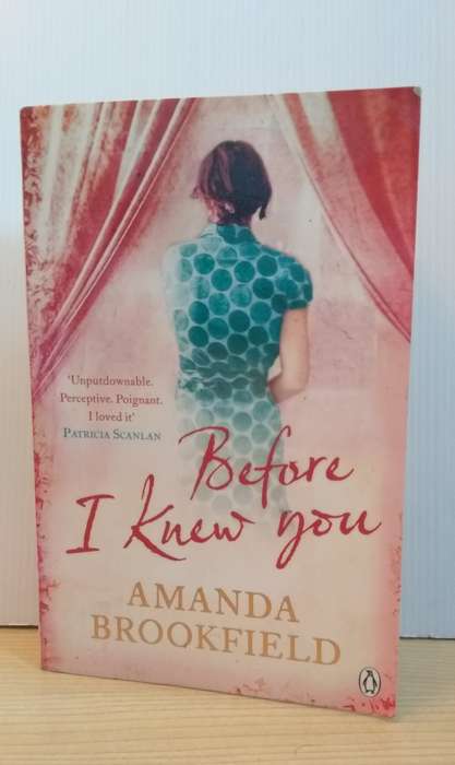 Before I Knew You by Amanda Brookfield (Paperback)