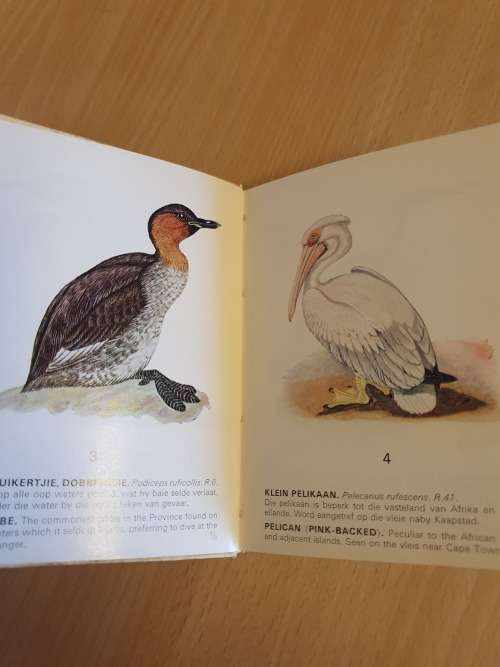 Sommige beskermde voels van Kaapland/Some protected birds of the Cape