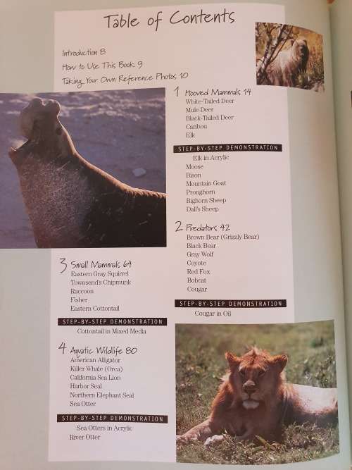 Artist`s Photo Reference Wildlife : Bart Rulon (Hardcover)