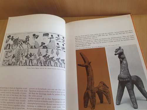 The Horse in Art by Ruth Zuelke (Hardcover)