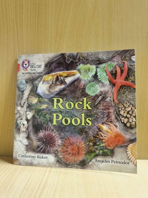 Rock Pools : Catherine Baker, Angeles Peinador (Paperback)