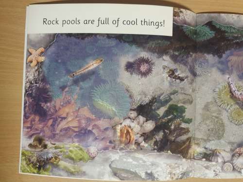 Rock Pools : Catherine Baker, Angeles Peinador (Paperback)