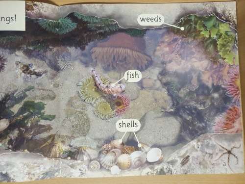 Rock Pools : Catherine Baker, Angeles Peinador (Paperback)
