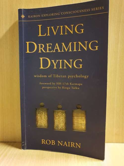 Living Dreaming Dying: Rob Nairn (Paperback)