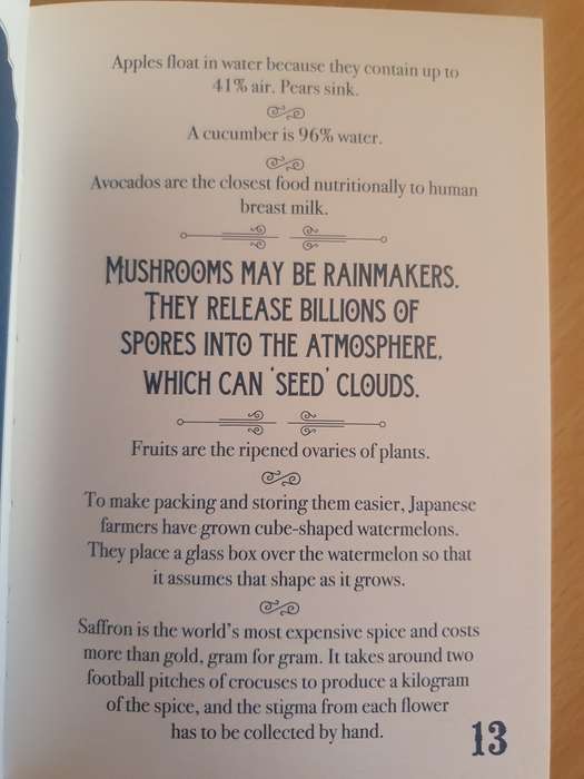 Trivia on The Loo - Facts and Trivia to Boggle the Mind (Hardcover)