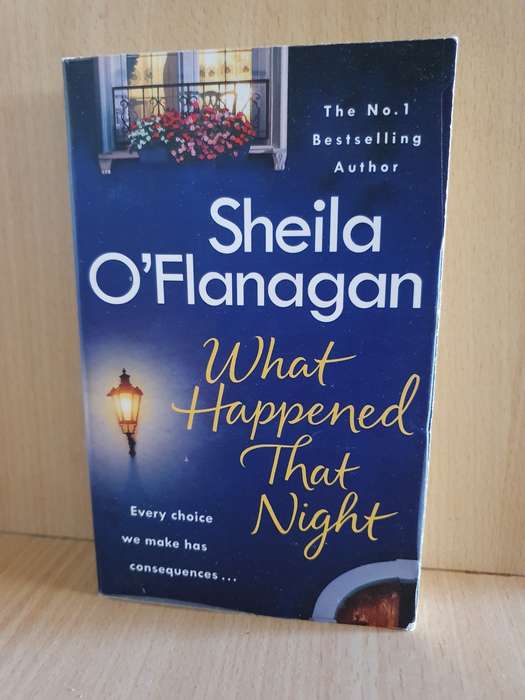What Happened That Night: Sheila O`Flanagan (Paperback)