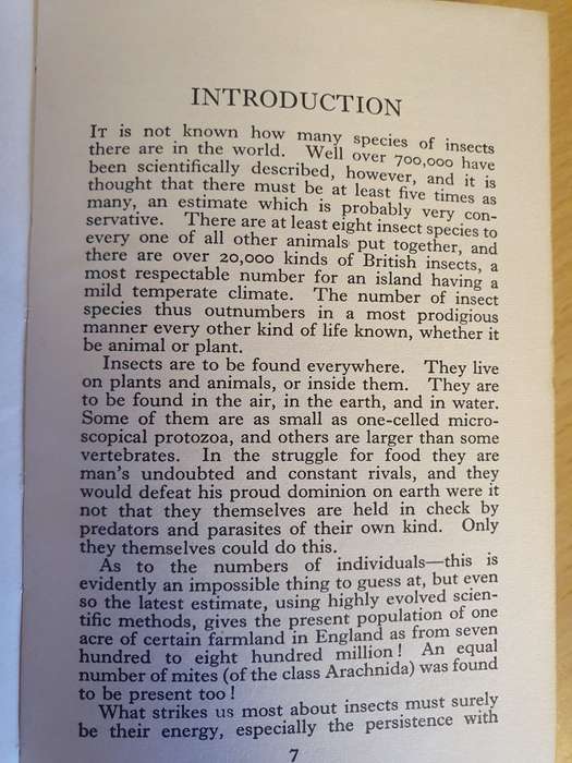The Observer`s Book of Common Insects & Spiders (Hardcover)