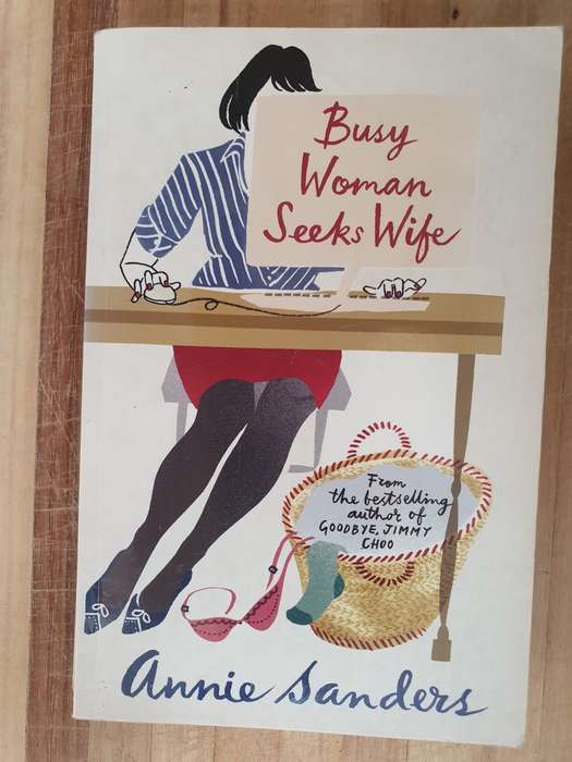 Busy Woman Seeks Wife: Annie Sanders (Paperback)