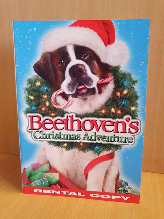Beethoven`s Christmas Adventure - Dvd