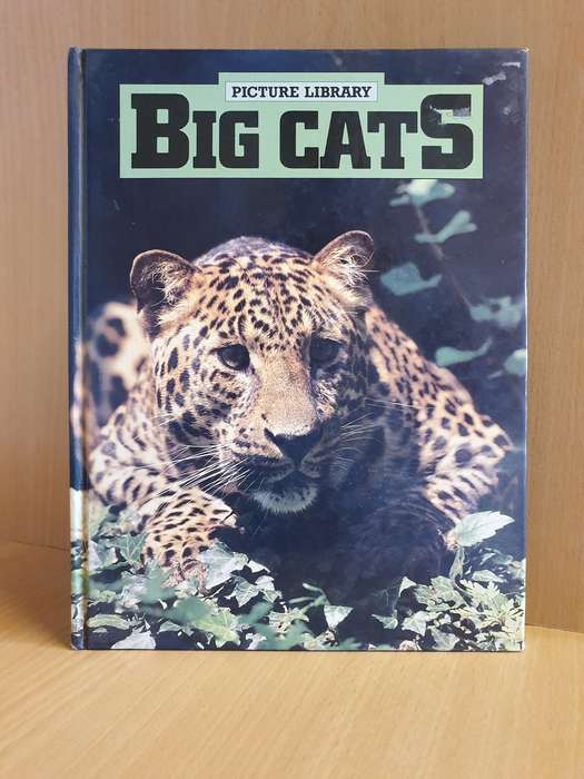 Picture Library - Big Cats (Hardcover)