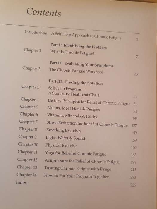 Chronic Fatigue - Self Help Book: Susan M. Lark, M.D. (Paperback)
