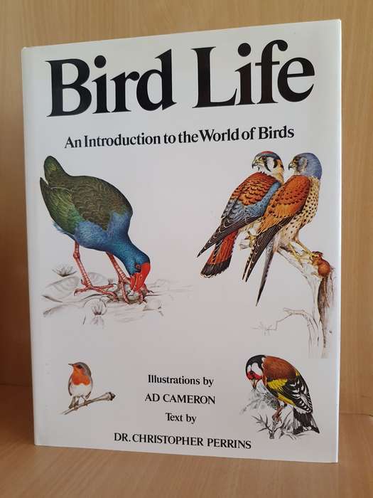 Bird Life - An Introduction to the World of Birds: Dr. Christopher Perrins (Hardcover)