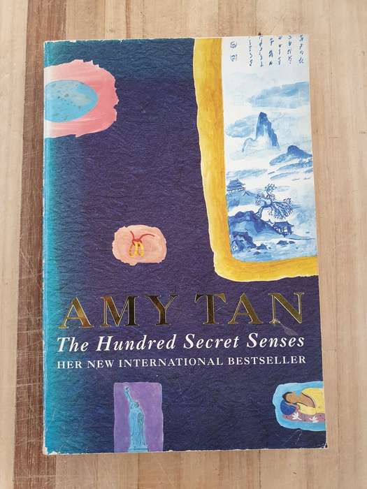 The Hundred Six Senses: Amy Tan (Paperback)