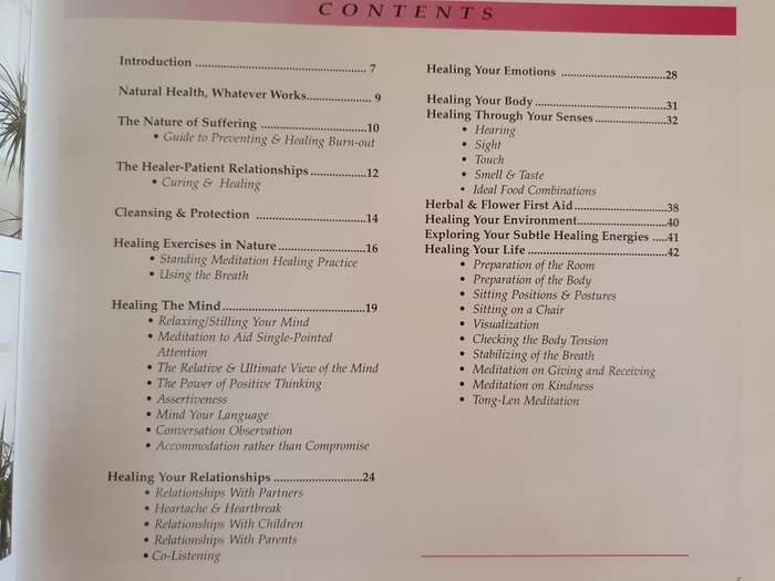 Easy Steps to Natural Healing: Rosalind Widdowson (Hardcover)