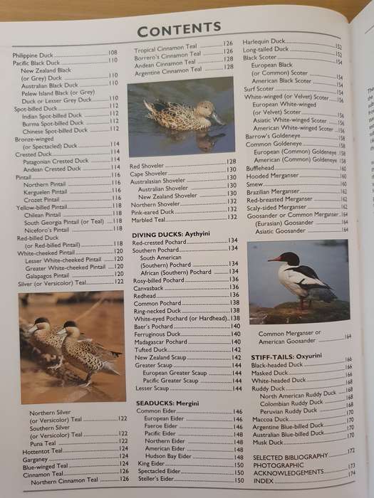 Photographic Handbook of The Wildfowl of The World: Malcolm Ogilvie and Steve Young (Hardcover)