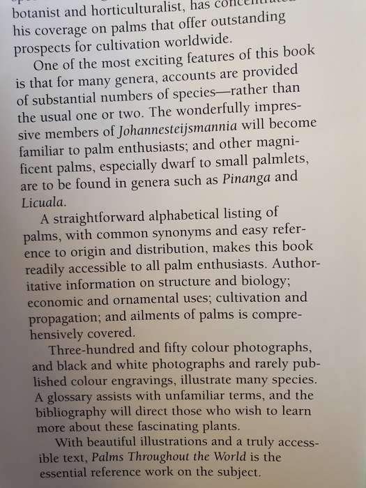 Palms Throughout the World : David L. Jones (Hardcover)