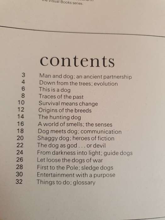 The Super Book of Dogs (Paperback)