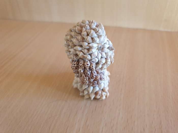 Small Shell Owl Figurine  (7cm x 5cm)
