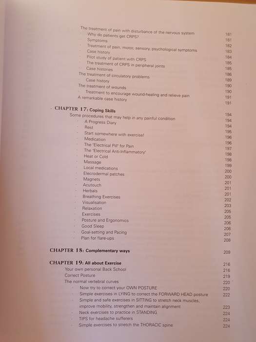 The Journey to Pain Relief : Phyllis Berger (Paperback)